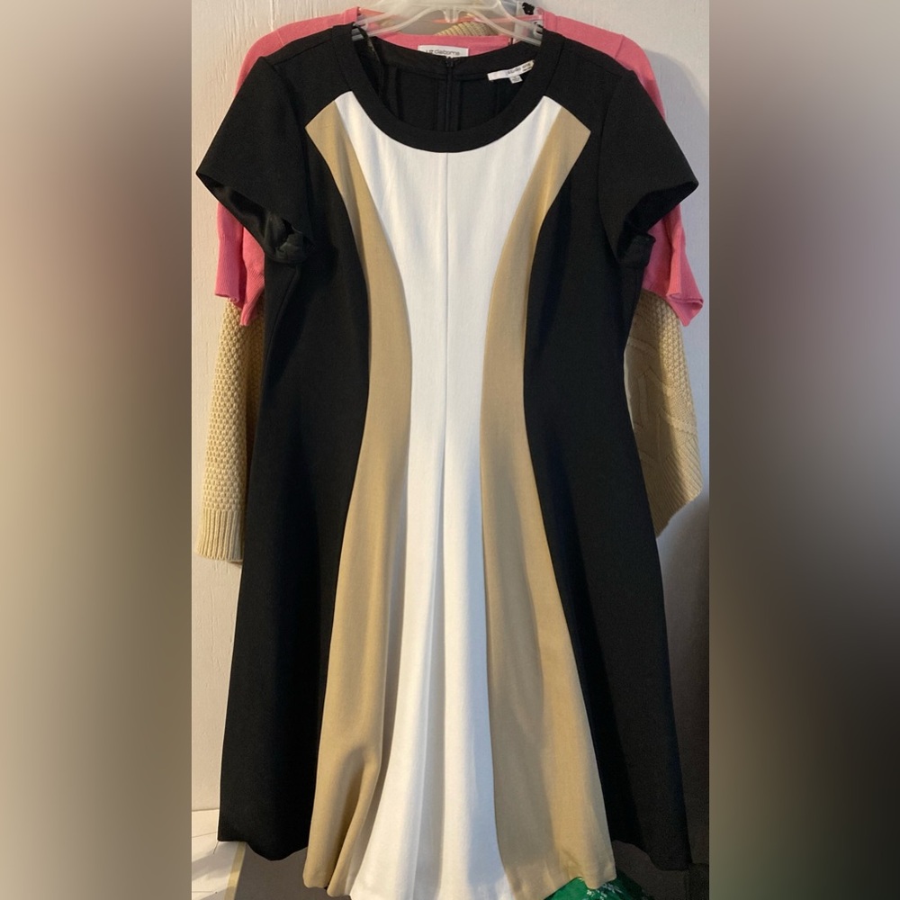 Elegant Black and Cream Dress